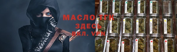 гидра Абаза