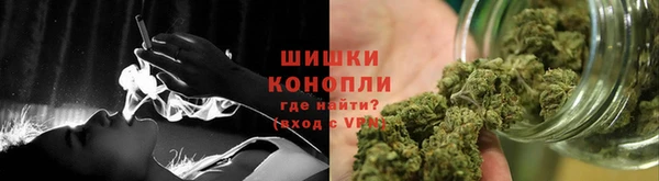 гидра Абаза