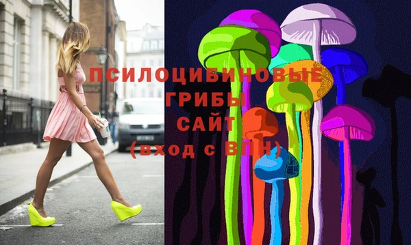 гидра Абаза
