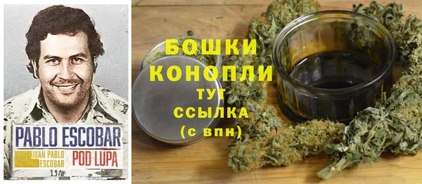 гидра Абаза
