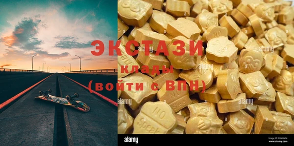 гидра Абаза