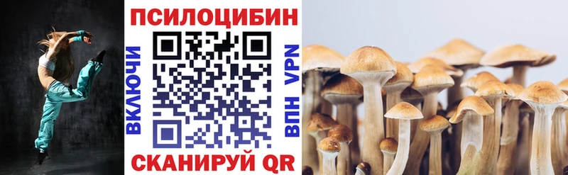 Псилоцибиновые грибы GOLDEN TEACHER  купить закладку  Власиха 