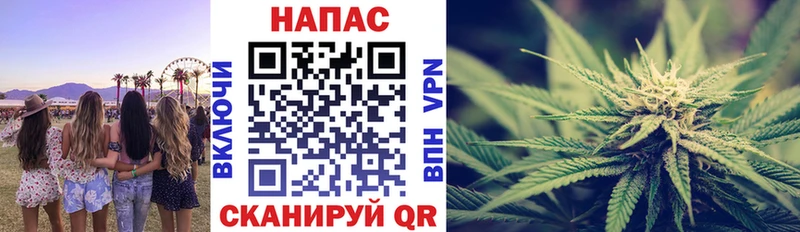Бошки Шишки гибрид  Власиха 